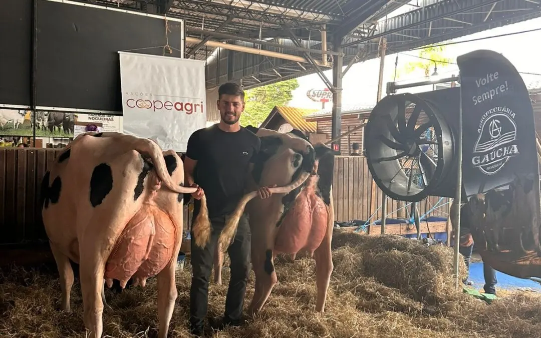 Expositor da Coopeagri conquista múltiplos prêmios na Fenasul Expoleite 2025
