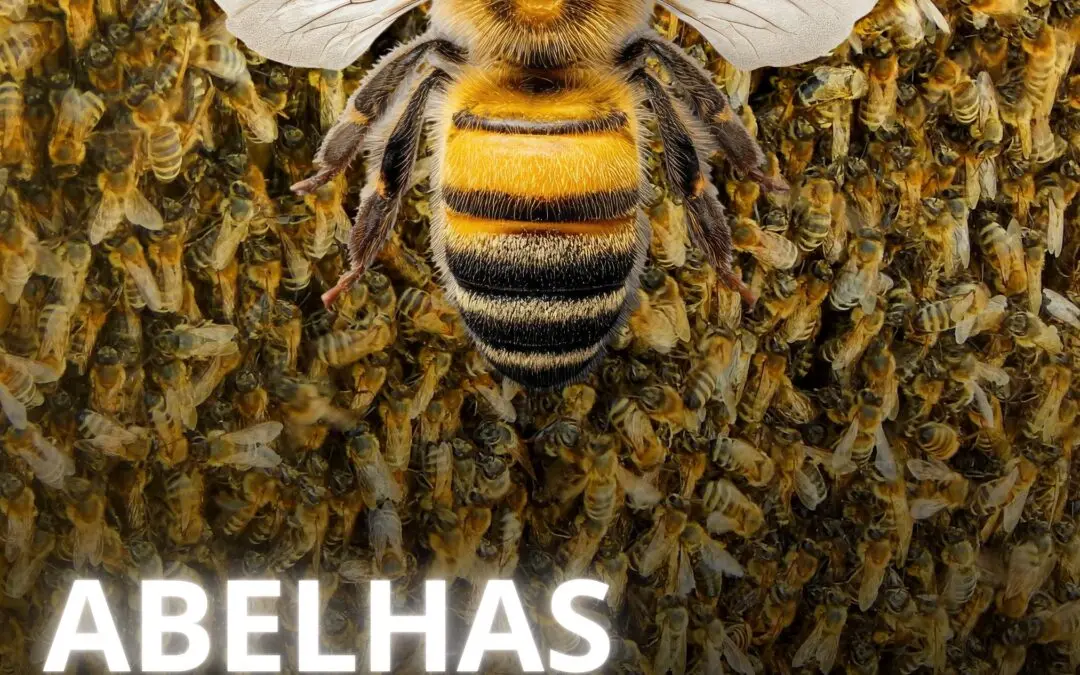 Abelhas: essenciais para a vida, mas que exigem atenção diante de ataques em áreas urbanas