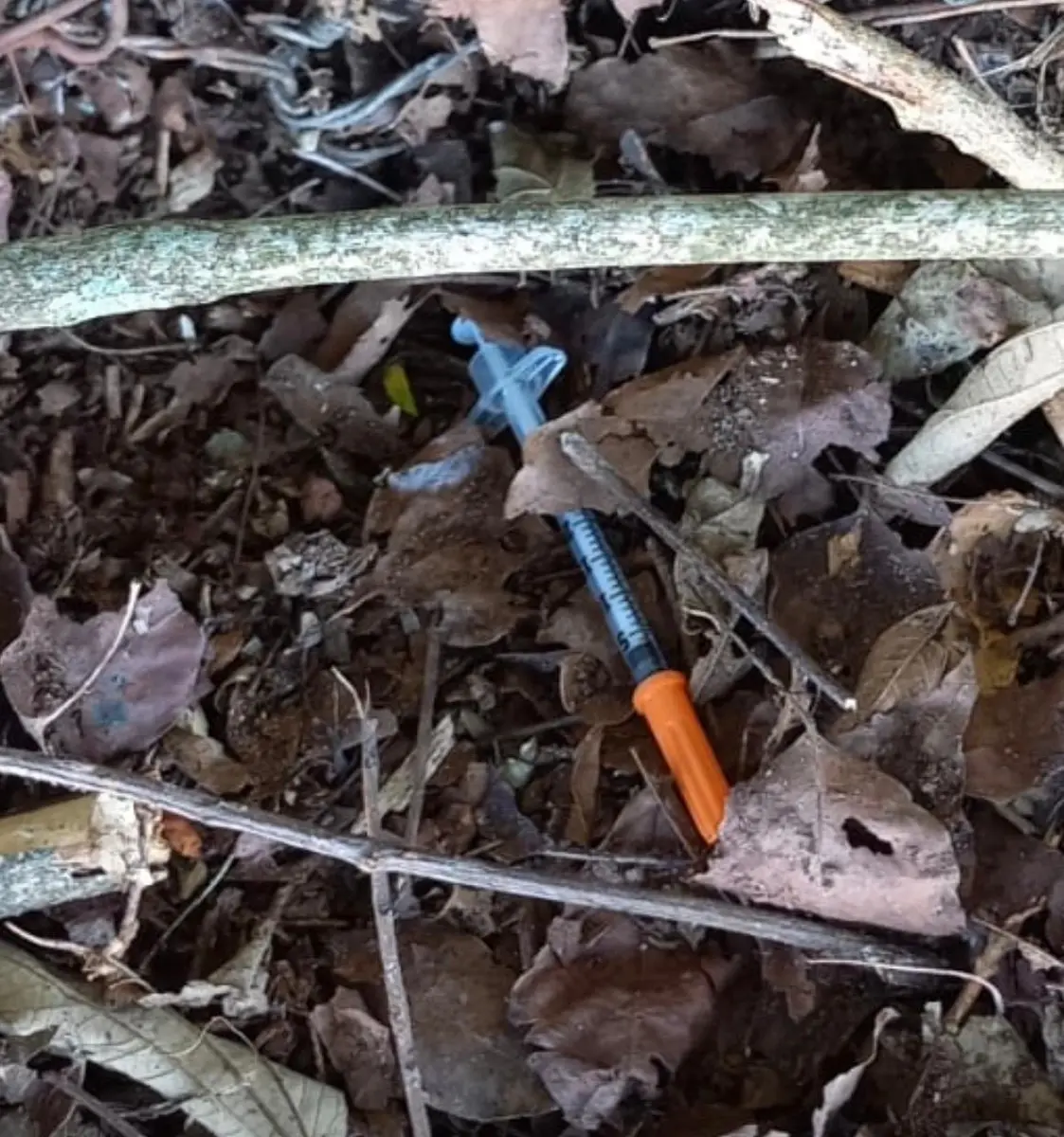 Descarte irregular de lixo contaminado coloca população em risco e acende alerta em Ibirubá