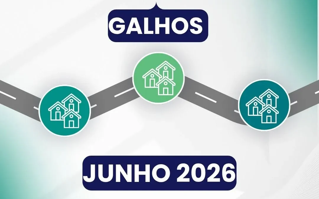IBIRUBÁ: MUNICÍPIO DIVULGA CRONOGRAMA DE RECOLHIMENTO DE GALHOS PARA JUNHO