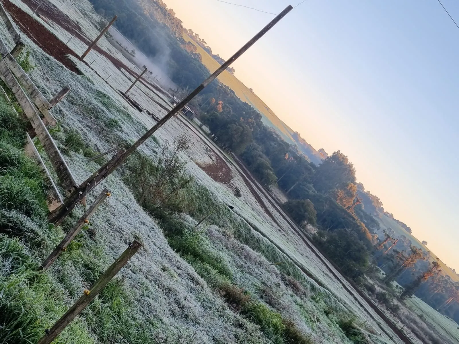 Geada marca amanhecer gelado em Ibirubá e região; fim de semana terá mudança no tempo