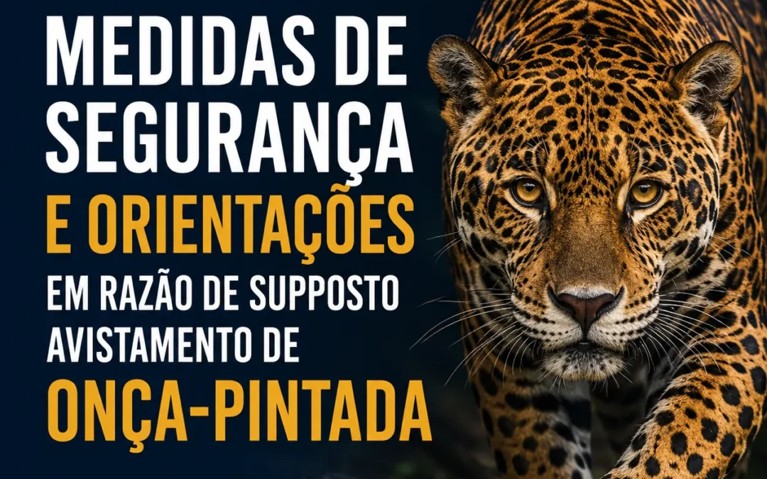 Medidas de Segurança e Orientações em Razão de Suposto Avistamento de Onça-Pintada no Interior de Passo Fundo