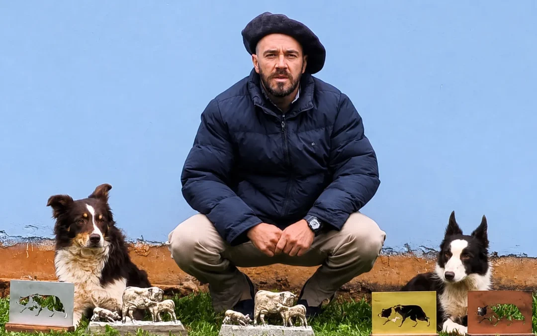 Talento, instinto e precisão: os Border Collies campeões que levam o nome de Ibirubá para todo o Brasil