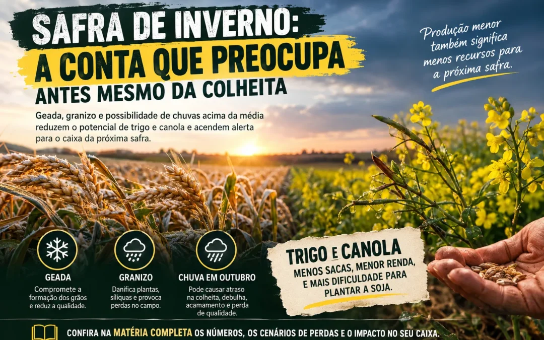 SAFRA DE INVERNO: A CONTA QUE PREOCUPA ANTES MESMO DA COLHEITA