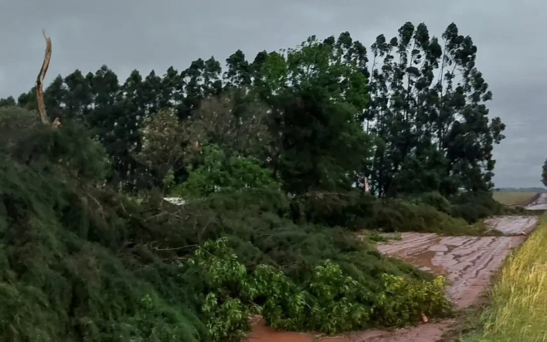 Previsão indica mais de 140 mm de chuva para a região de Ibirubá entre domingo e terça-feira