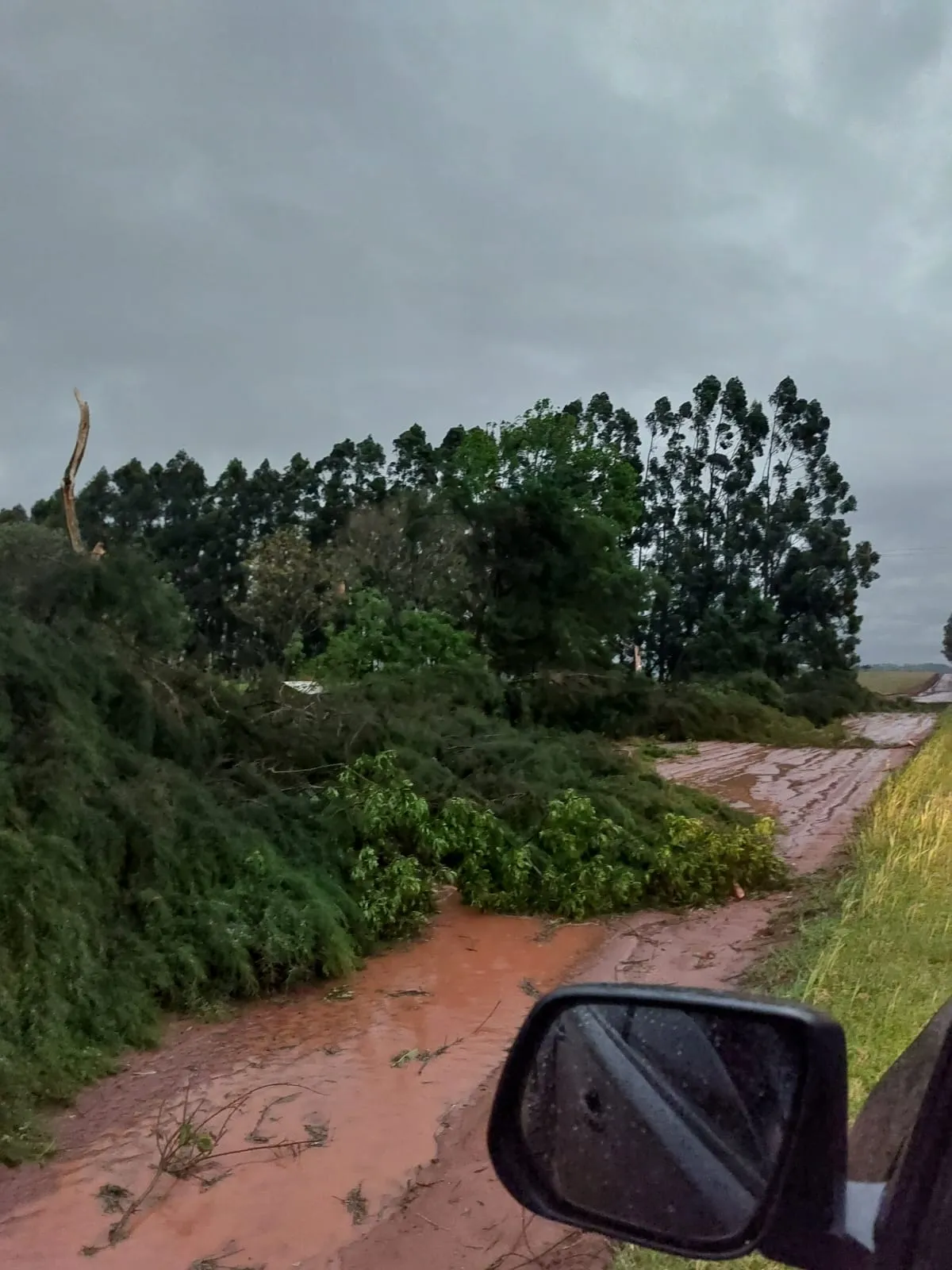 Previsão indica mais de 140 mm de chuva para a região de Ibirubá entre domingo e terça-feira